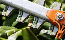 Can You Sharpen a Hedge Trimmer Blade