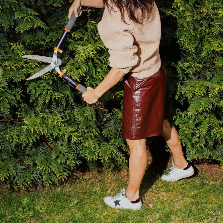 How Does a Hedge Trimmer Work