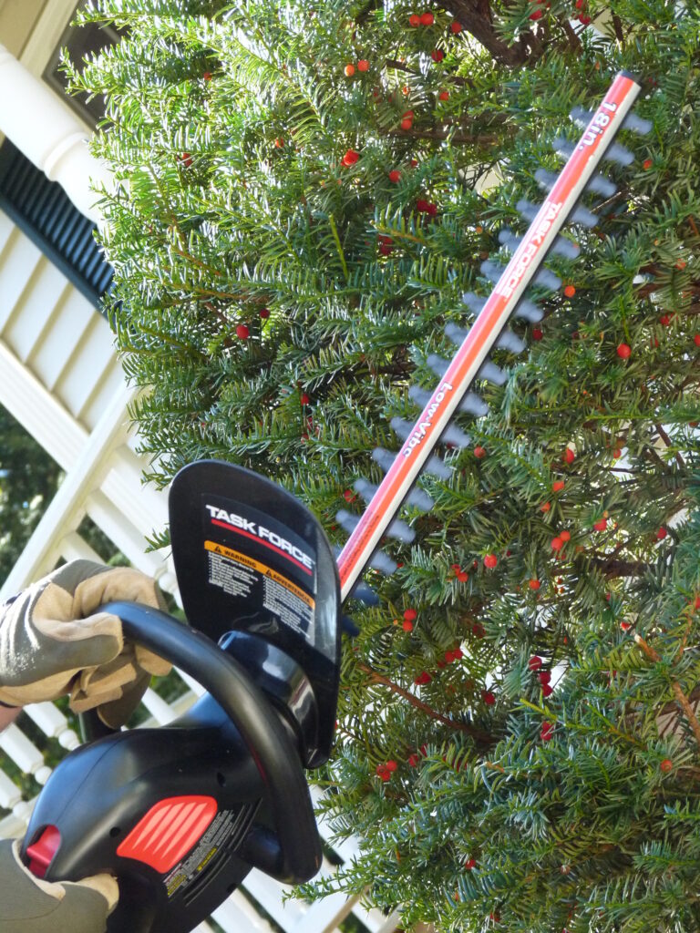 how to use a gas hedge trimmer