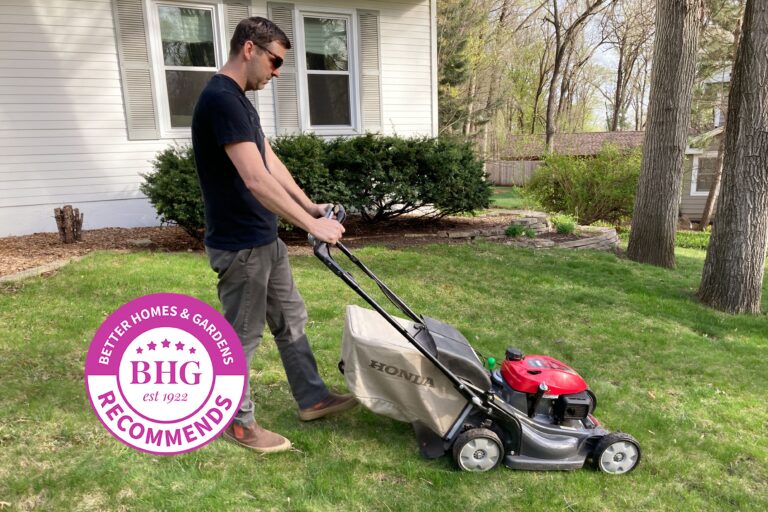What is the Best Commercial Lawn Edger