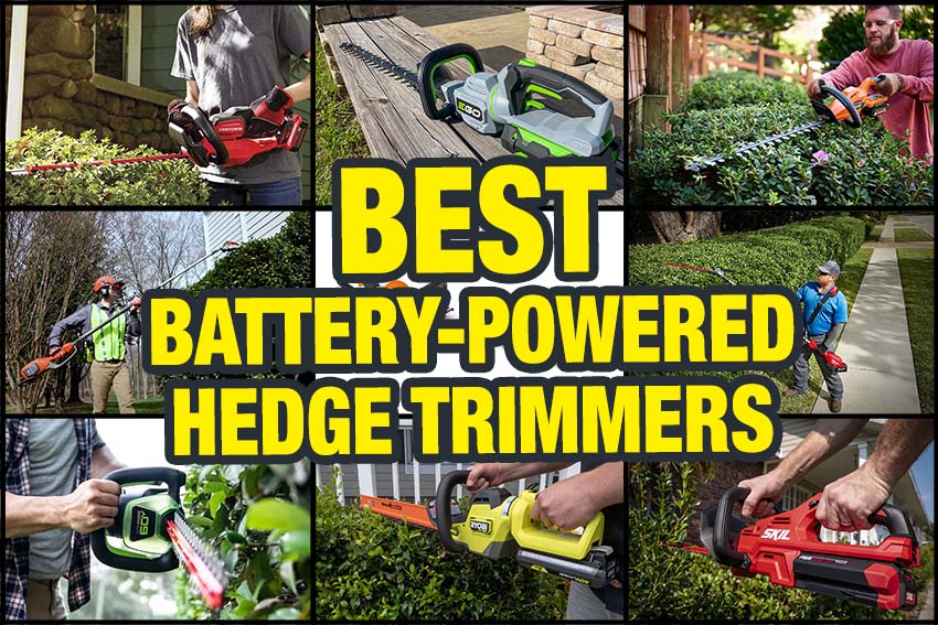 What is the Best Electric Hedge Trimmer