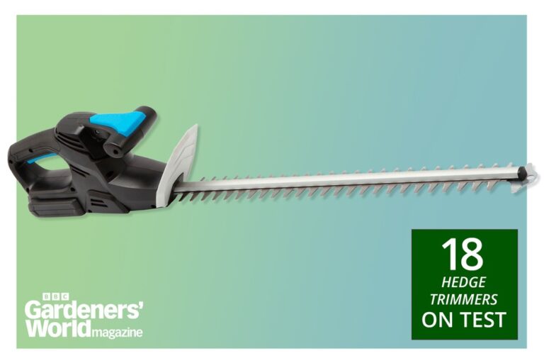 What to Look for in a Hedge Trimmer