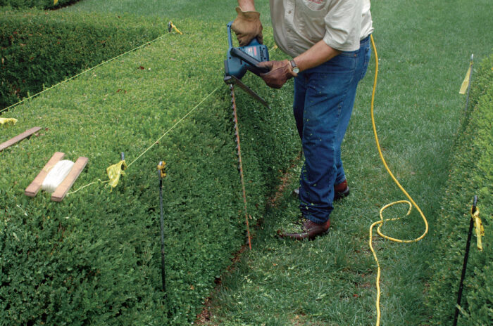 What to Use Hedge Trimmer for