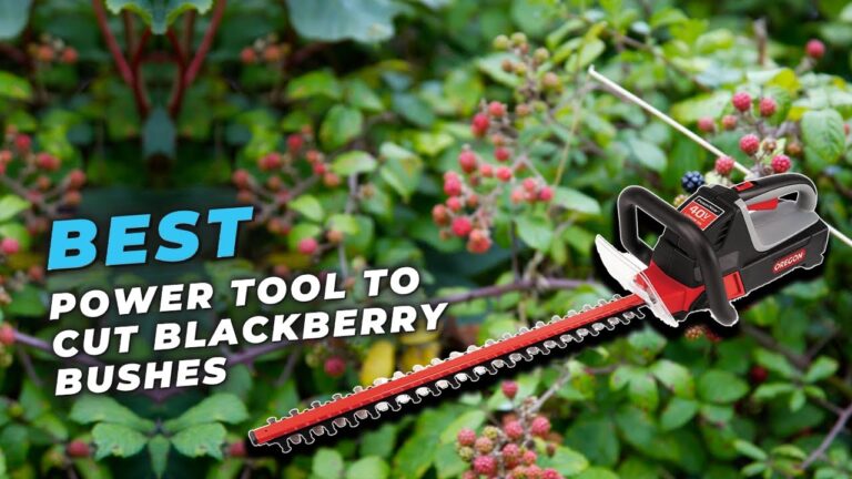 Will a Hedge Trimmer Cut Blackberries
