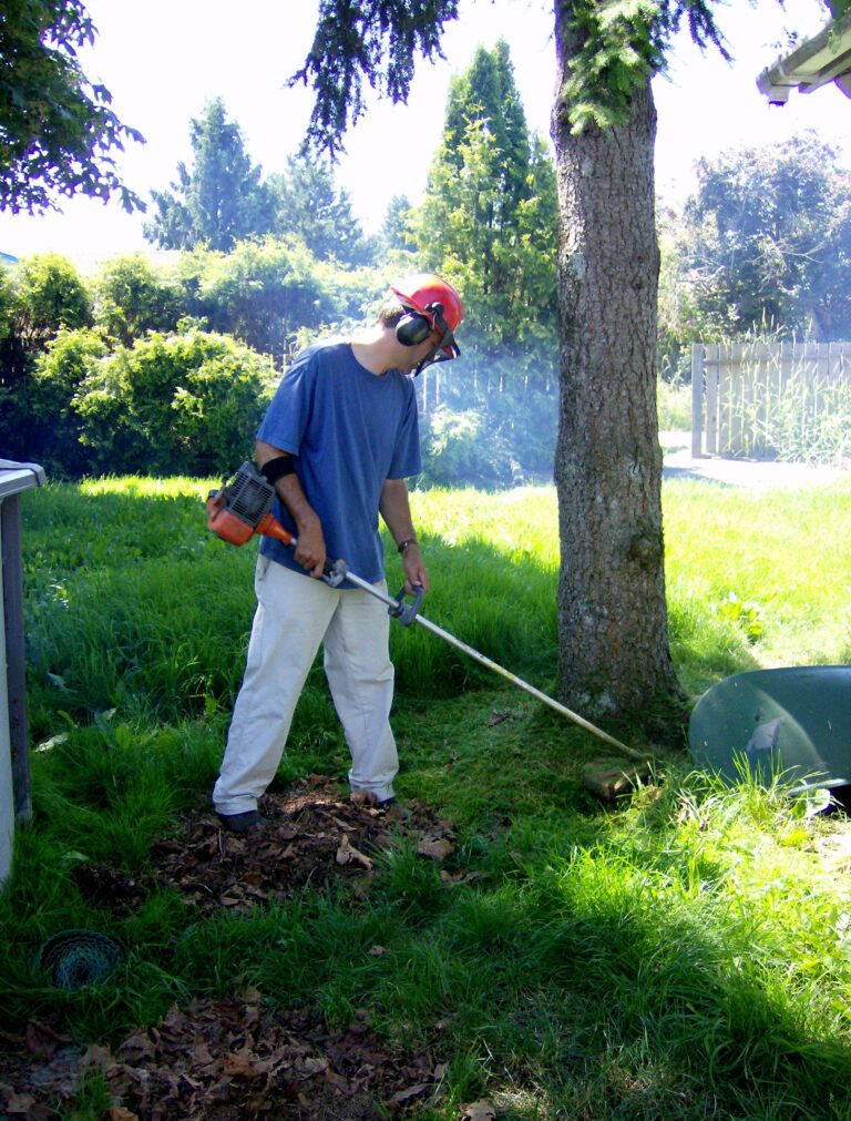Man weedeating
