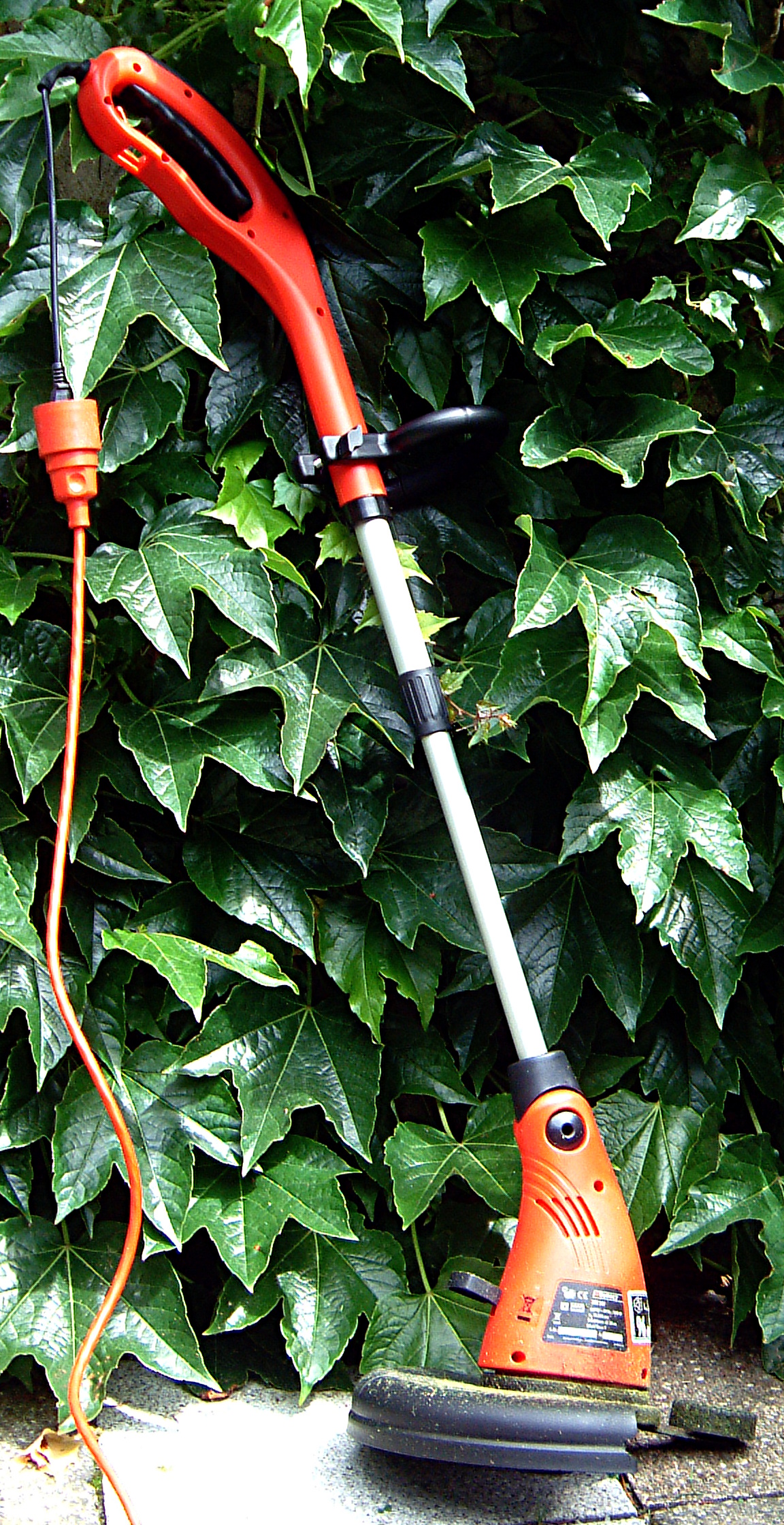 Rasentrimmer String trimmer DSCF0001