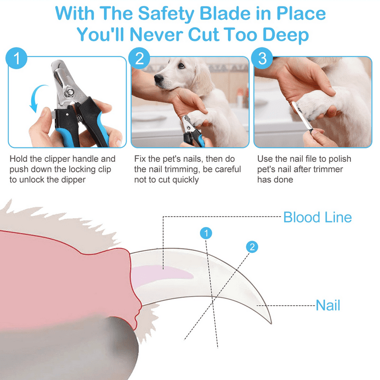 How to Use a Dog Trimmer