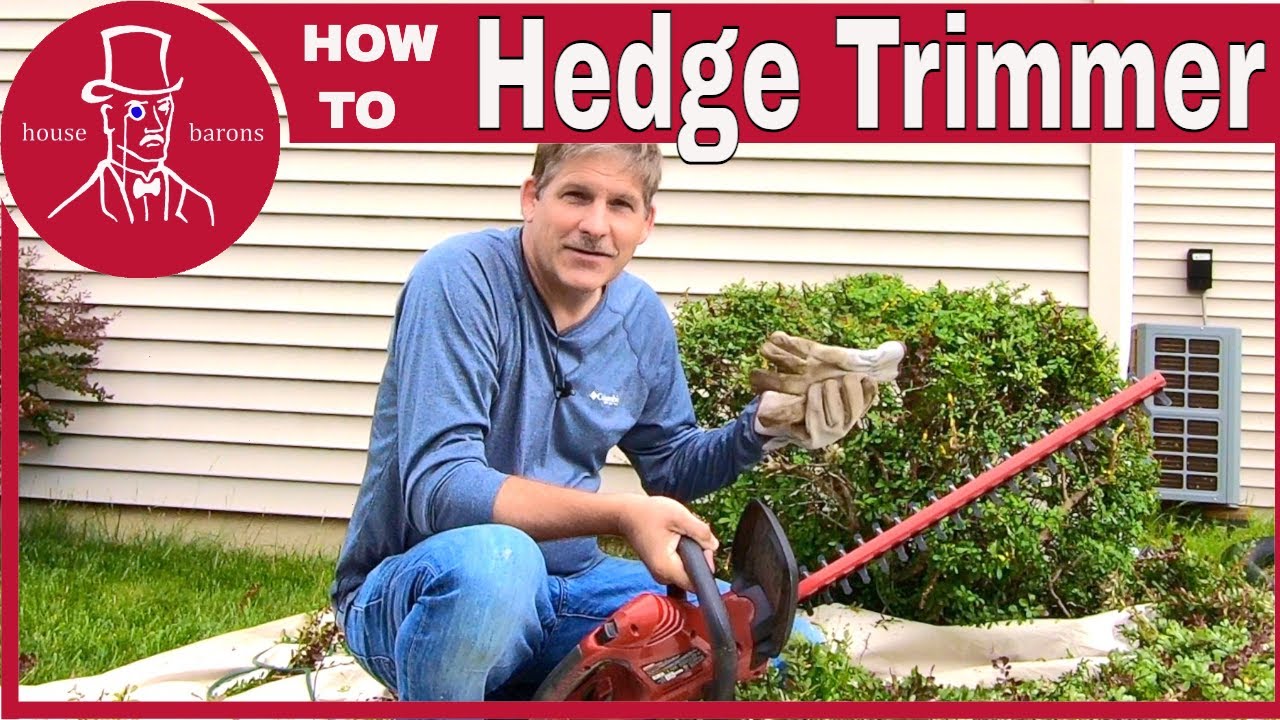 What is Hedge Trimmer Used For?