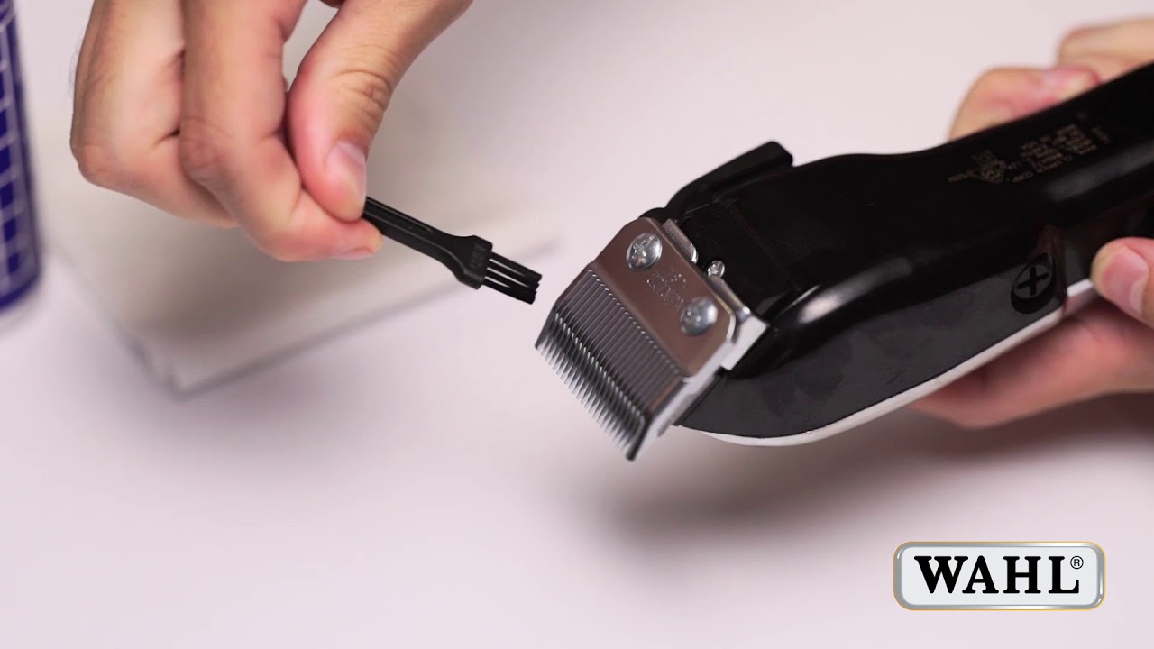 Where to Apply Oil in Trimmer