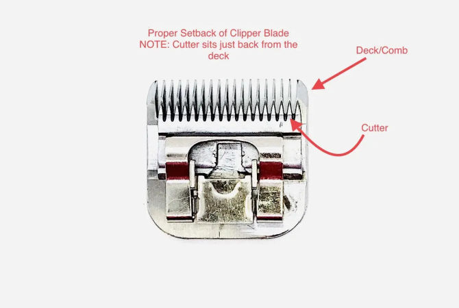 Why is My Trimmer Not Cutting