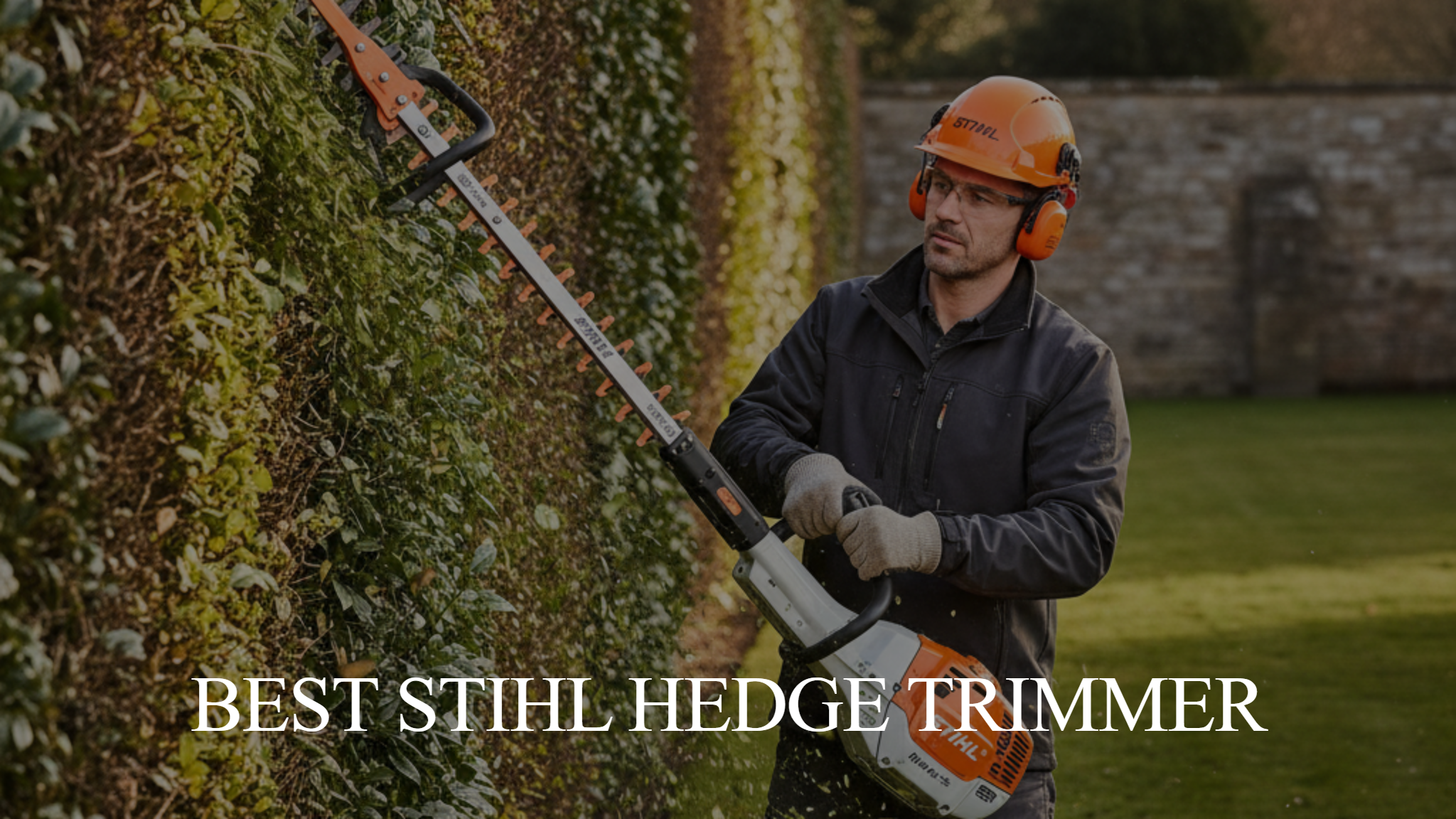 Best Stihl Hedge Trimmer