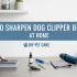 How to Sharpen Dog Clipper Blades at Home